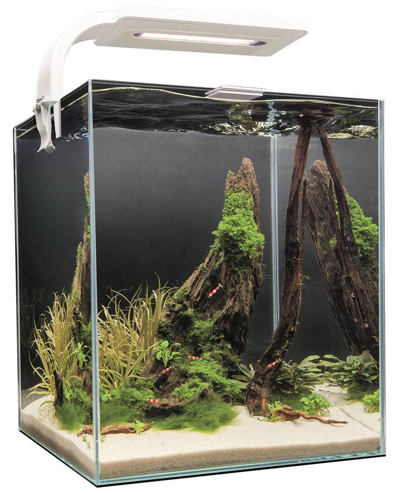 ΕΝΥΔΡΕΙΟ AQUAEL SHRIMPSET DAY-NIGHT 30 ΛΕΥΚΟ 29X29X35CM