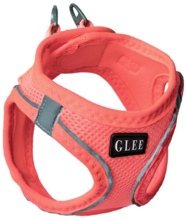 ΣΑΜΑΡΑΚΙ GLEE JOY ΡΟΖ (XL)