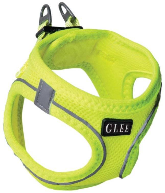 ΣΑΜΑΡΑΚΙ GLEE JOY ΛΑΧΑΝΙ (XS)