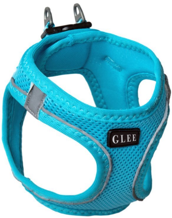 GLEE ΣΑΜΑΡΑΚΙ GLEE JOY ΜΠΛΕ (3XS)