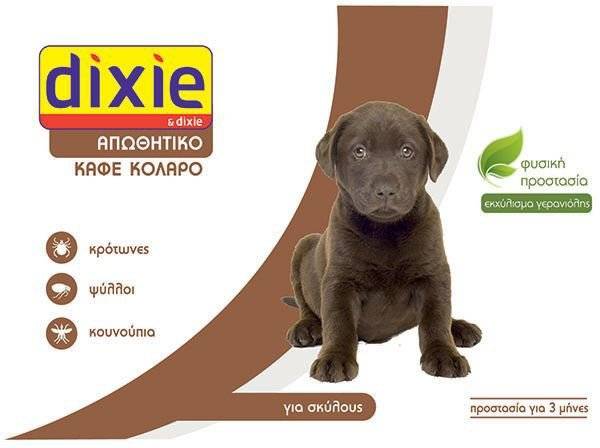 DIXIE ΑΠΩΘΗΤΙΚΟ ΠΕΡΙΛΑΙΜΙΟ ΓΕΡΑΝΙΟΛΗΣ ΚΑΦΕ (58CM)