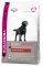   EUKANUBA LABRADOR RETRIEVER ...