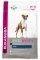 ����� ������ EUKANUBA BOXER ��������� 12KG