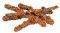  TRIXIE NATURAL    45GR