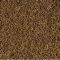  TROPICAL RED MICO 8GR