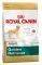   ROYAL CANIN GOLDEN RETRIEVER ADU...