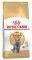 ����� ����� ROYAL CANIN BRITISH SHORTHAIR  AD...