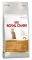   ROYAL CANIN EXIGENT PROTEIN ADULT...