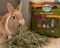 ΧΟΡΤΟ ΓΙΑ ΤΡΩΚΤΙΚΑ OXBOW HAY BLENDS 2.55KG ΧΟΡΤΟ ΓΙΑ ΤΡΩΚΤΙΚΑ OXBOW HAY BLENDS 2.55KG