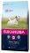   EUKANUBA ADULT SMALL BREEDS   2KG