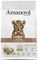   AMANOVA KITTEN EXQUISITE ...