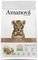 ����� ����� AMANOVA KITTEN EXQUISITE ��������...