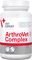  VET EXPERT ARTHROVET COM...