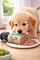 ΣΑΛΑΜΙ CELEBRATE FRESHNESS PUPPY JUNIOR ΜΕΑΤ & FISH 400GR ΣΑΛΑΜΙ CELEBRATE FRESHNESS PUPPY JUNIOR ΜΕΑΤ & FISH 400GR