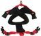  NOBBY CLASSIC XS  