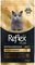  REFLEX BREED BRITISH SHORTHAIR ADULT HY...