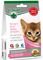  DR SEIDEL HEALTHY KITTEN (50GR)