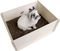  BUNNY NATURE DIGGING FUN   (50X39X19.5CM)