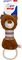  GLEE TEDDY ROPE HOOP SQUEAK