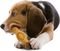   NYLABONE PEANUT BUTTER EXTREME FILL IT CHEW MD