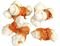 ΣΝΑΚ CELEBRATE FRESHNESS CHICKEN BONE (100GR)