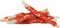  CELEBRATE FRESHNESS CHICKEN STEAK STICKS (100GR)