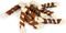  CELEBRATE FRESHNESS LAMB CALCIUM BONE (100GR)