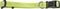  GLEE  LIME