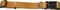  GLEE  OCHRE
