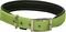  GLEE NEOPRENE LIME