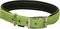 ���������� GLEE NEOPRENE LIME