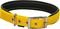  GLEE NEOPRENE YELLOW XS (16MMX41CM...