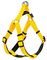  GLEE NEOPRENE YELLOW