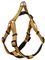  GLEE NEOPRENE OCHRE M (20MMX56-66CM)