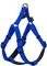 GLEE NEOPRENE BLUE S (16MMX41-51CM)