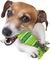   AFP CHEW DENTAL FROG