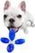   AFP CHEW JACK BLUE (15X14X13CM)