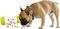   AFP INTERACTIVE TREAT FRENZY ROLL