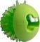 �������� ������ ROGZ FRED LIME (24CM)