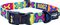  ROGZ FUSION CLASSIC POPART YELLOW (16MM/26 -40CM)