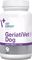   VET EXPERT GERIATIVET DOG LARGE BREED (45 )