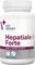   VET EXPERT HEPATIALE FOR...