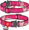  WAUDOG LOONEY 6 METAL FASTEX (25MM...