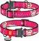 ���������� WAUDOG LOONEY 6 METAL FASTEX (25MM...