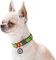  WAUDOG AVOCADO METAL FASTEX (20MM / 24-40CM)