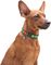  WAUDOG ETNO GREEN METAL FASTEX (15MM / 23-35CM)