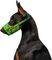  WAUDOG AVOCADO PLASTIC FASTEX (25-34CM)