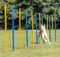  TRIXIE AGILITY SLALOM (12TM /  3X115CM)