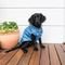 ΑΔΙΑΒΡΟΧΟ FUZZYARD RAINCOAT FRENCH BLUE L (45CM) ΑΔΙΑΒΡΟΧΟ FUZZYARD RAINCOAT FRENCH BLUE L (45CM)