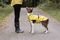 ΑΔΙΑΒΡΟΧΟ TRIXIE VIMY RAINCOAT ΚΙΤΡΙΝΟ S (35CM) ΑΔΙΑΒΡΟΧΟ TRIXIE VIMY RAINCOAT ΚΙΤΡΙΝΟ S (35CM)